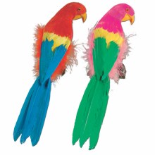 Parrot Feathered 12 in