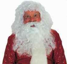 Wig Santa W/Beard Professional