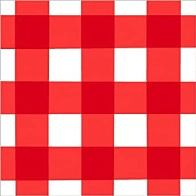American Summer Picnic Gingham Lunch Napkins 16ct