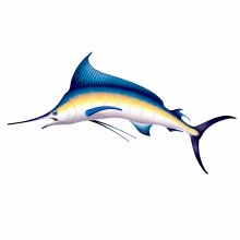 Marlin Prop
