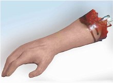 Arm Bloody Body Part