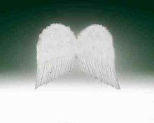 Wings Feather 22in White