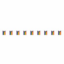 Pride Flag Pennant Banner