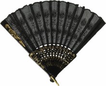 Fan Lace Chinese Black