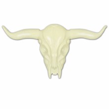 Longhorn Skull Pl