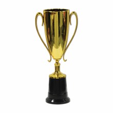 Award Trophy Cup