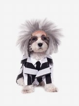 Beetlejuice Pet Lg