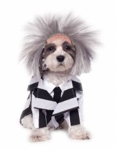 Beetlejuice Pet XL