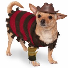 Freddy Krueger Pet Lg