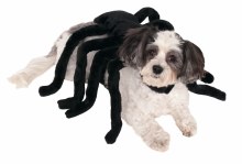 Pet Spider Costume Lg