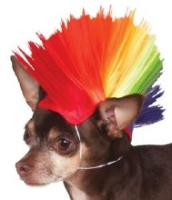 Pet Wig - Rainbow Mohawk M/L