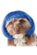 Pet Wig - Blue Bob M/L