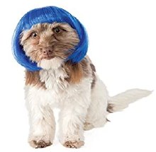 Pet Wig - Blue Bob S/M