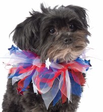 Pet Frilly CollarPatriotic M/L