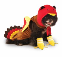 Pet Turkey LG