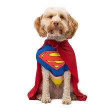 Superman Pet XXL