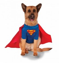 Superman Pet XXXL