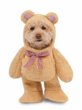 Pet TeddyBear Walking L