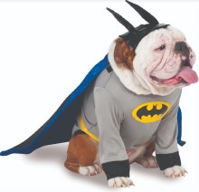 Pet Batman XXL