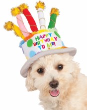 Hat Pet Birthday Cake M/L