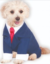 Pet Business Suit Lg