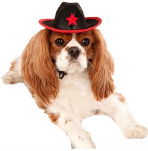 Black Pet Cowboy Hat