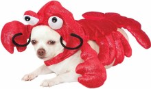 Pet Lobster L