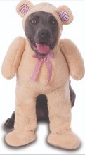 Pet Costume Teddy Bear