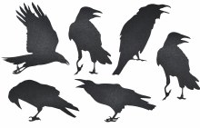 Crow Silhoutte Stickers 12pc