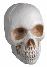 4in. Plastic Skull