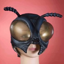 Mask Fly