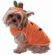 Pet Pumpkin L