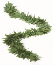 Boa Green Leaf