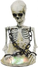 Skeleton Tabletop Animated