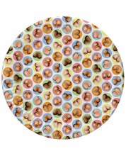 Dirty Boob Paper Plates