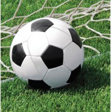 Sports Fan Soccer Lun Nap