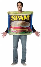 Spam Can Costume