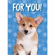 Gift Enclosure Puppy