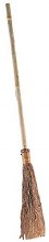 Witch Broom Eco