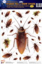 Cockroach Wall Stickers