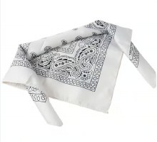 Bandana White