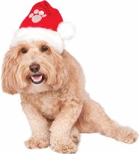 Pet Santa Hat M/L