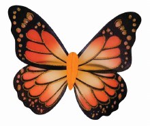 Wings Butterfly Monarch