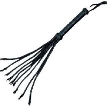 Cat of Nine Tails