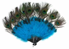 Fan Peacock Feather