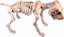 Dog Skeleton Large