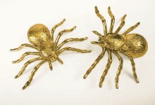 Spiders Gold 2pk