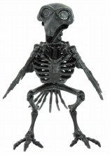 Skeletal Raven