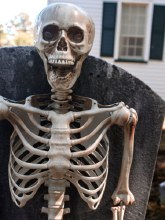 Skeleton 5ft Posable