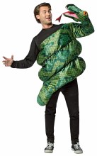 Anaconda Snake Attack OS